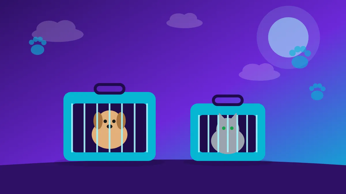 Pet Transport Multan – PackersMovers.pk